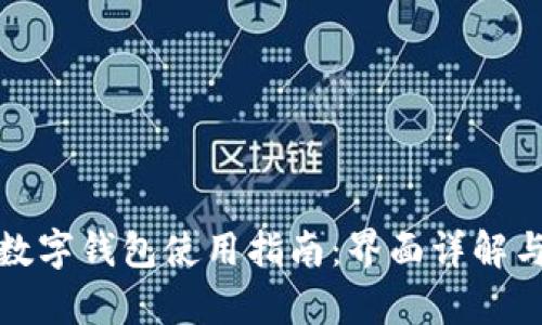 建行网银数字钱包使用指南：界面详解与功能剖析