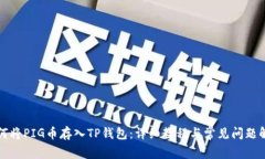 如何将PIG币存入TP钱包：详