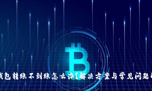 TP钱包转账不到账怎么办？解决方案与常见问题解析