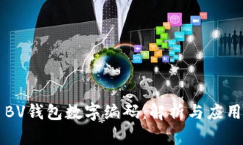 BV钱包数字编码：解析与应用