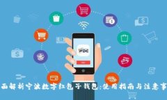 全面解析宁波数字红包子
