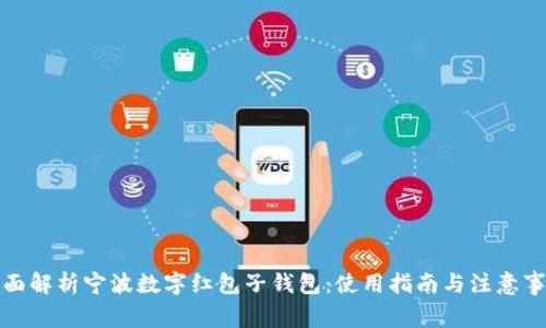 全面解析宁波数字红包子钱包：使用指南与注意事项