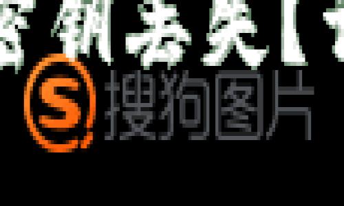 如何应对数字钱包密钥丢失？详细指南与解决方案