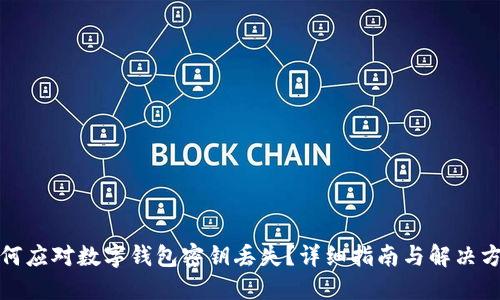 如何应对数字钱包密钥丢失？详细指南与解决方案