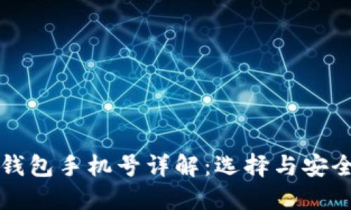 数字钱包ID和钱包手机号详解：选择与安全的全方位指南