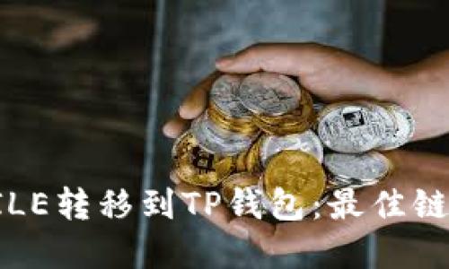如何将FILE转移到TP钱包：最佳链选择指南