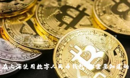 如何在上海使用数字人民币钱包：你需要知道的一切