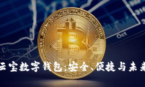 全面解析云宝数字钱包：安全、便捷与未来发展趋势