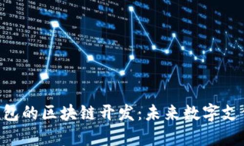 BaileyPay钱包的区块链开发：未来数字支付的解决方案