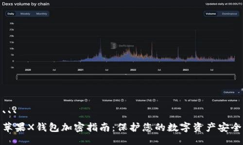 ```
苹果X钱包加密指南:保护您的数字资产安全