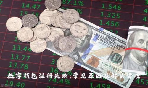 数字钱包注册失败：常见原因及解决方案