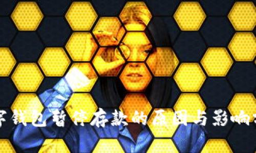 数字钱包暂停存款的原因与影响分析