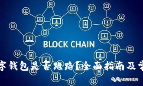 如何查询数字钱包是否跑路？全面指南及常见问题解答