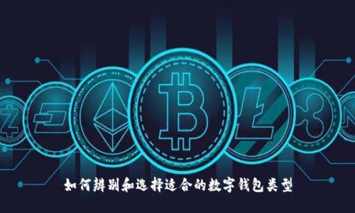 如何辨别和选择适合的数字钱包类型