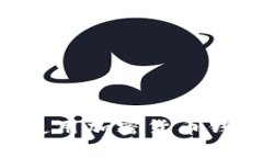 如何选择和使用加密货币