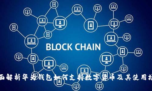 全面解析华为钱包如何支持数字货币及其使用场景